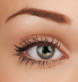 Close Up Picture of Beautiful Woman's Eye 